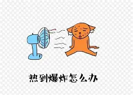 关于热传：苏炳添球队14人名单全的信息|鱼乐达人